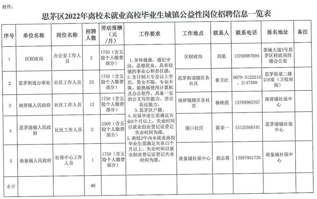 思茅区卫生健康局最新招聘启事概览