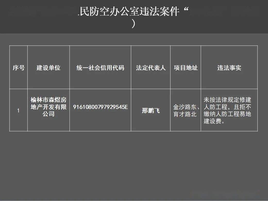 榆林市人民防空办公室最新项目研究揭秘